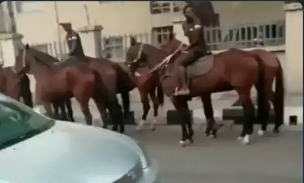 Lagosians use Horses on Monday morning following government ban on Okada, Keke