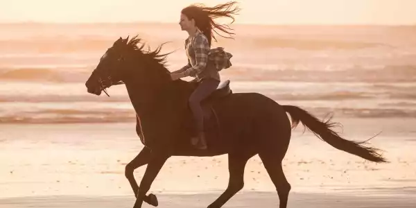 Black Beauty Trailer Reveals First Footage Of Kate Winslet Movie For Disney+