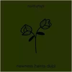 Nutty Nys – Newness (Taints Dub)