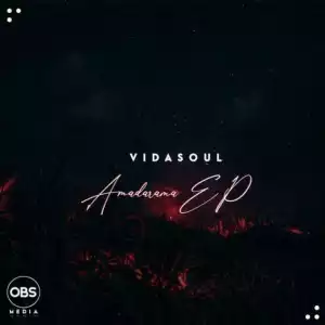 Vida-soul – Death Fly (Original Mix)