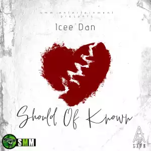 Icee Dan – Should Of Known