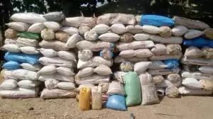How We Arrested 252 Suspects, Seized 2 Tons Illicit Drugs, And Recorded 57 Convictions In 2023 — Osun NDLEA Commander