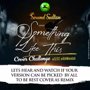 Sound Sultan – Something Like This