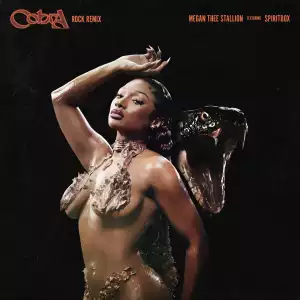 Megan Thee Stallion Ft. Spiritbox – Cobra (Rock Remix)