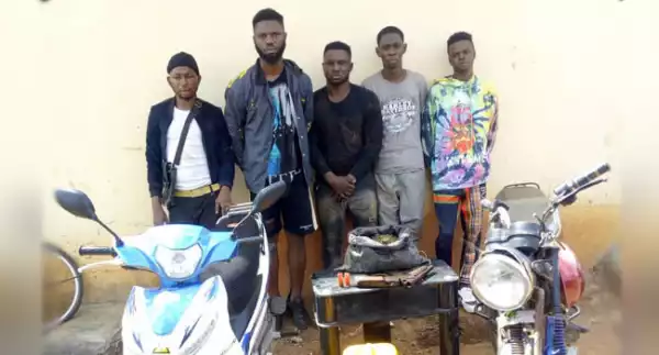 Five suspected cultists arrested at initiation ground in Ekiti