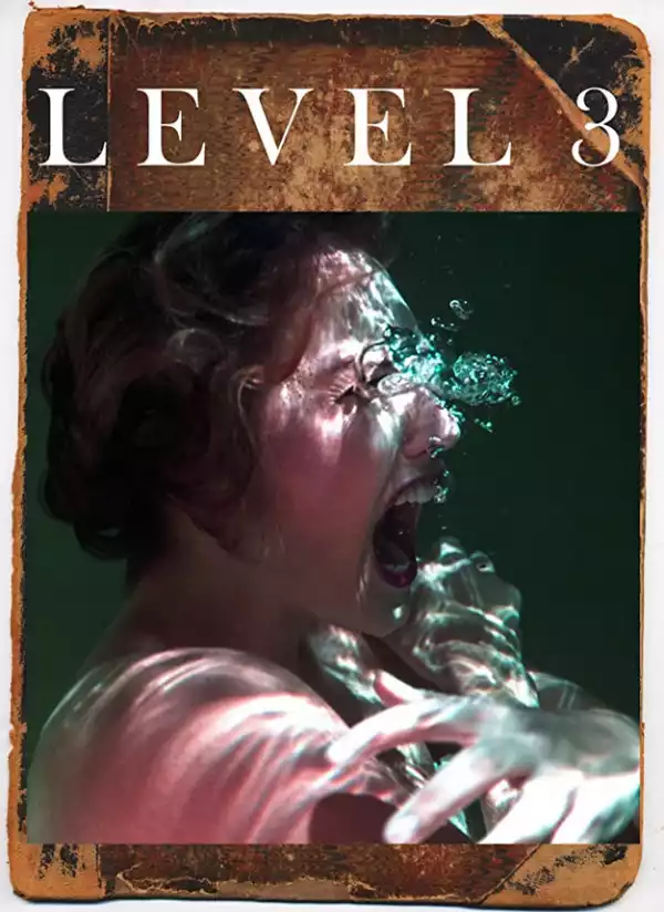 Level 3 (2020)