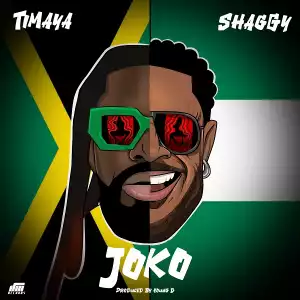 Timaya Ft. Shaggy – Joko