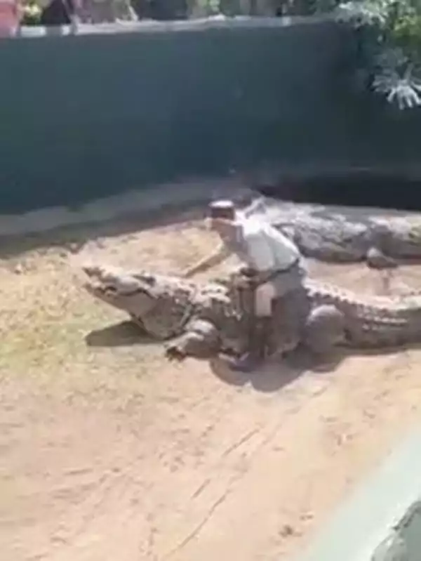 Zookeeper Mauled By 16-foot Crocodile In Front Of Terrified Crowd (Photo)