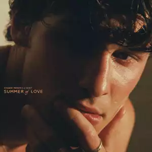 Shawn Mendes Ft. Tainy – Summer Of Love