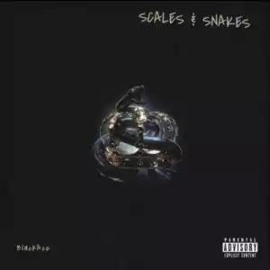 Black Ace – Scales & Snakes