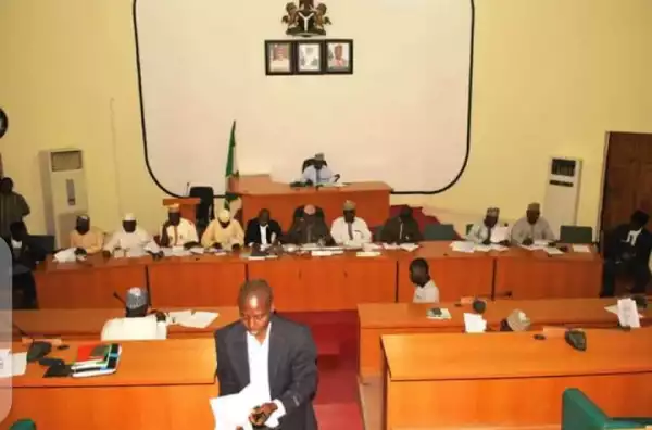BREAKING: Niger Assembly Deputy Speaker resigns