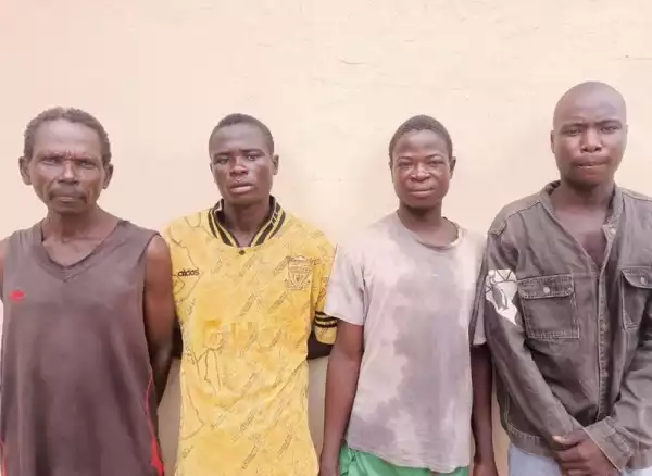 Four Suspects Arrested For Cattle Rustling, Animal Abuse In Adamawa