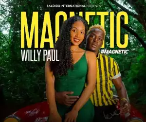 Willy Paul – Magnetic