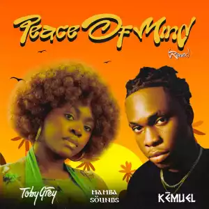 Toby Grey – Peace of Mind Remix ft. Kemuel & Mamba Sounds