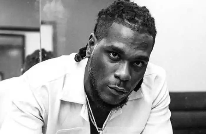 Burna Boy Makes A Spectacular Entrance At His Sold-out Concert In Rotterdam