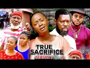 True Sacrifice Season 3