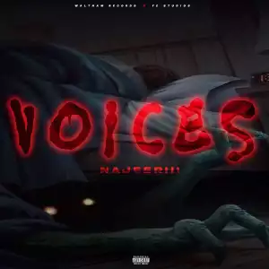 Najeeriii – Voices