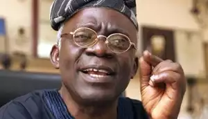 Some Govs Will Turn State Police To Instrument Of Oppression - Falana Warns