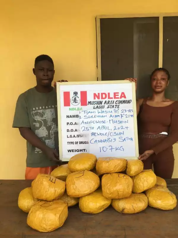 NDLEA Nabs 28-Year-Old Woman Who Manufactures Cakes Laced With Drugs