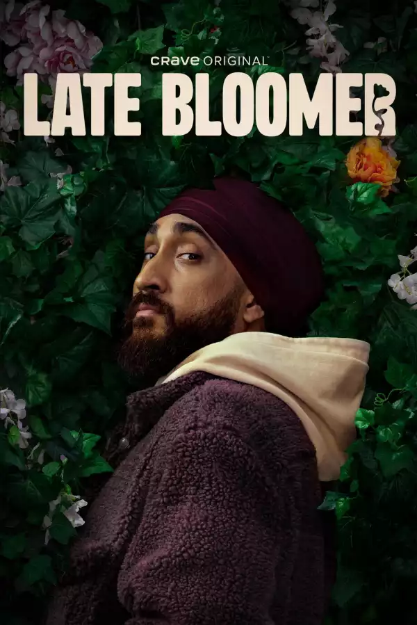 Late Bloomer (2024 TV series)