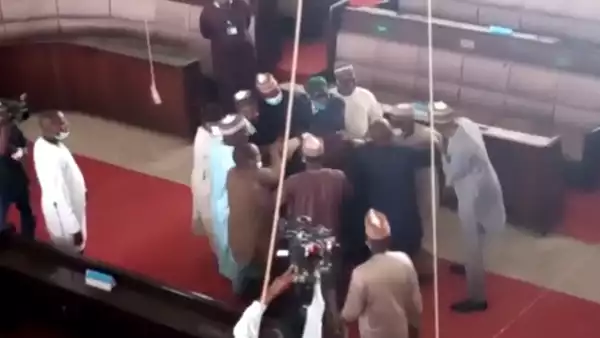 Kaduna House of Assembly members fight over mace after impeaching Deputy Speaker (video)