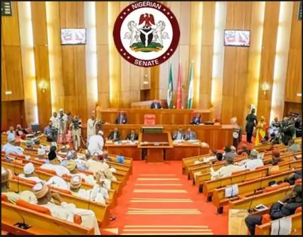 Senate Clears OMSL Of Alleged Illegal Activities At Secure Anchorage Area, Lagos Ports