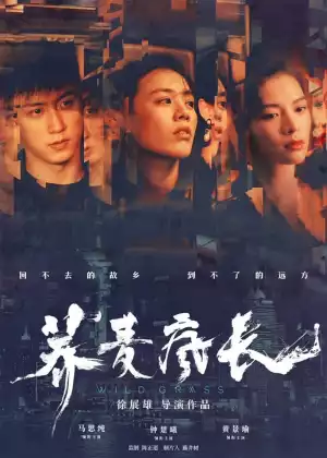 Wild Grass (2020) (Chinese)