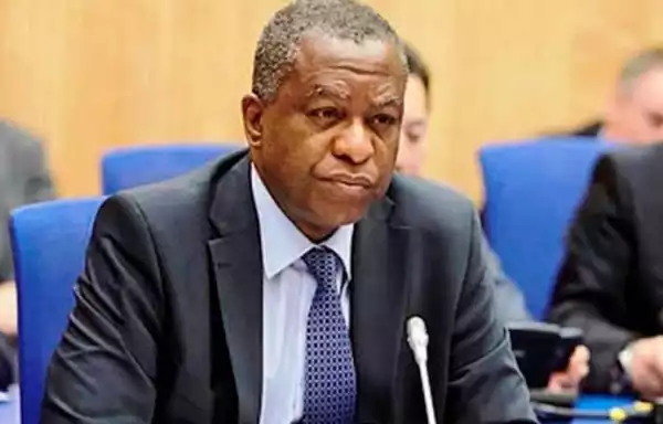 Minister Of Foreign Affairs Geoffrey Onyeama Biography & Net Worth (See Details)