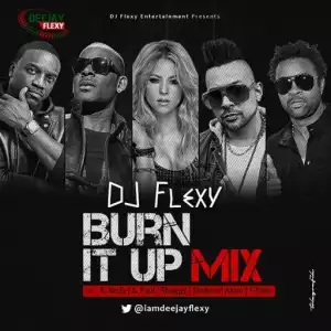 DJ Flexy – Throwback Burn It Up Mix