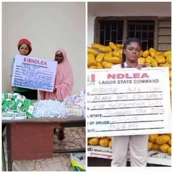 Three Women Arrested As NDLEA Intercepts 972.5kg Parcels Of Cannabis, 721 Ampoules Of Pentazocine Injection
