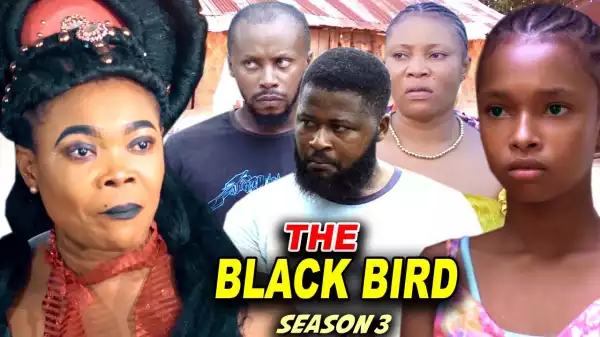 The Black Bird Season 3