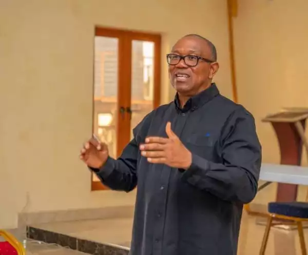 Powerful Political Interests Plotting To Blackmail Peter Obi – Aide Raises Alarm