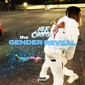 NLE Choppa - The Gender Reveal Song