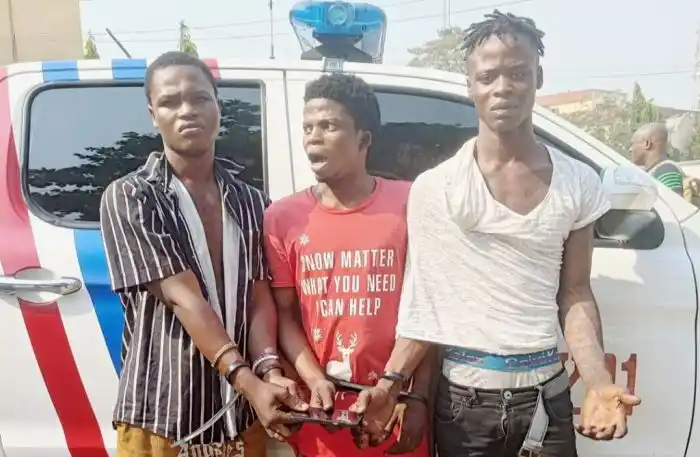 Gang Of 3 Lands In Police Net For Beating, Robbing Man In Lagos
