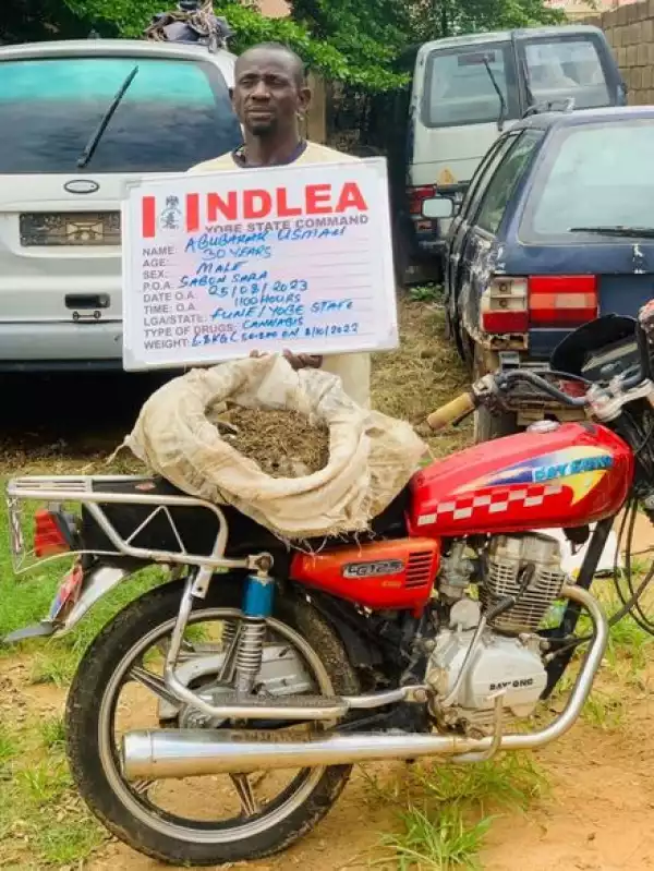 NDLEA Arrests Notorious Drug Dealer With 6.8kg Of Cannabis In Yobe