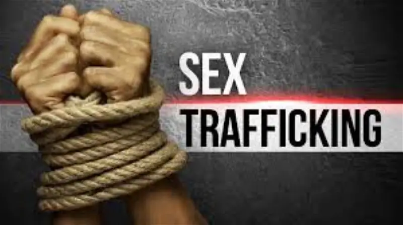 Prostitution: We pay N40k daily, rescued Anambra sex slaves allege