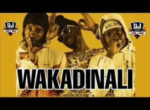 Wakadinali x Costa Titch – Geri Inengi ft SirBwoy x Ma Gang Amapiano Refix