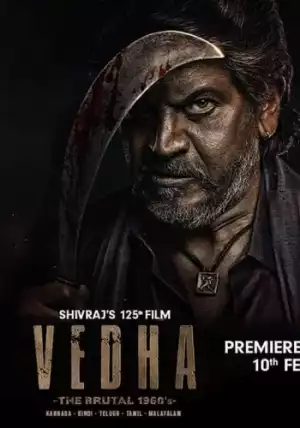 Vedha (2022) (Hindi)