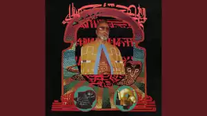 Shabazz Palaces - Reg Walks By The Looking Glass