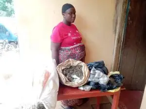 NDLEA arrests pregnant woman, cripple in Edo with assorted illicit drugs