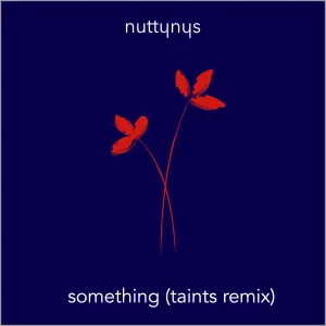 Nutty Nys – Something (Taints Remix Instrumental)