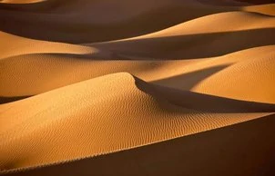 Demand For Data: Dune Analytics Raises $8M in Series A Funding