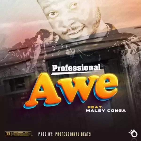 Professional Beat – Awe Ft. Walley Conga