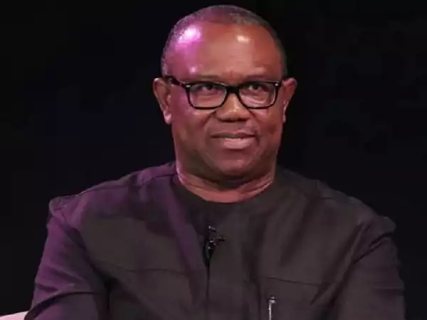 Somebody Stole N60M Donated to Peter Obi - Diehard Supporter Claims