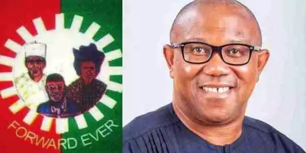 2023: I Prefer Younger Running Mate With Fresh Ideas - Peter Obi