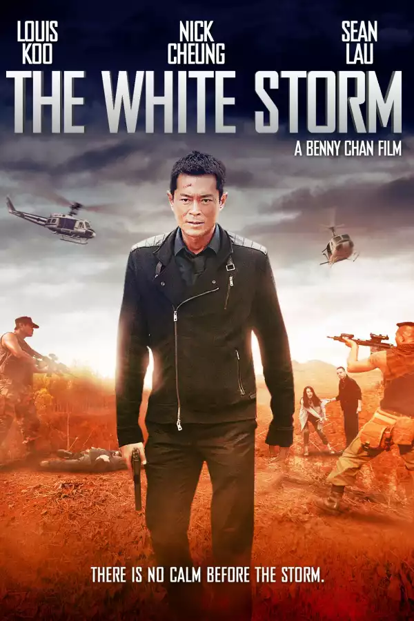 The White Storm (2013) [Chinese]