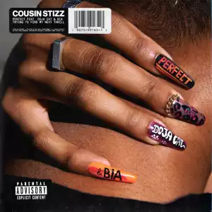 Cousin Stizz Ft. Doja Cat & BIA - Perfect (Remix)