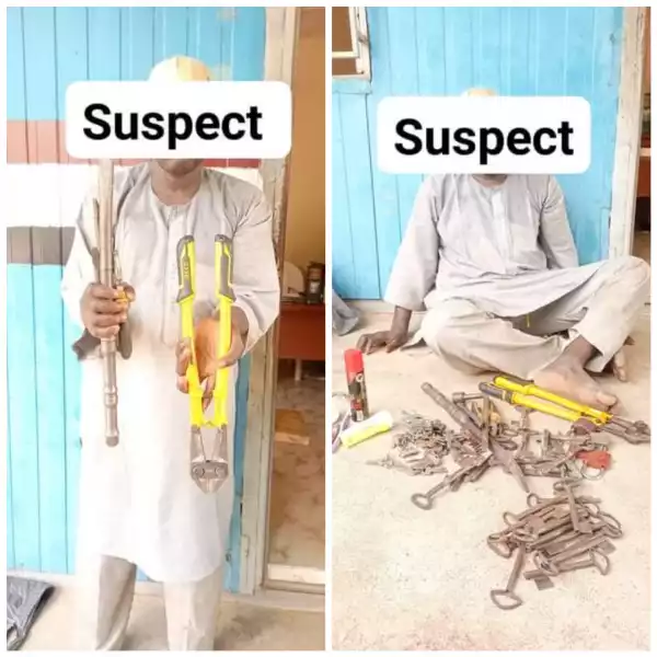 NSCDC arrests suspected notorious burglar, recovers 99 pairs of keys in Jigawa