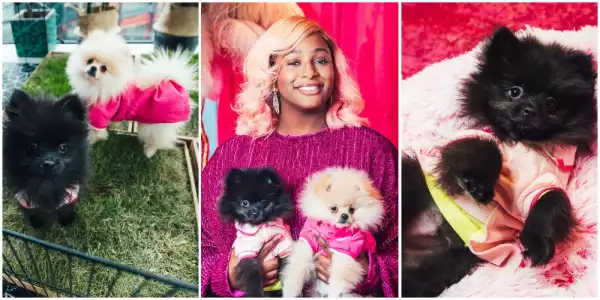 People Are Sending My Dogs Their Account Numbers — DJ Cuppy