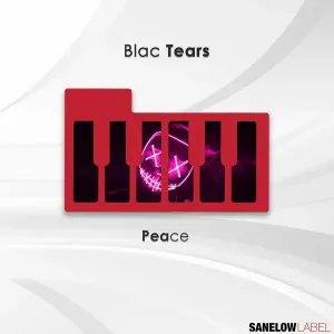 Blac Tears – Vibrations
